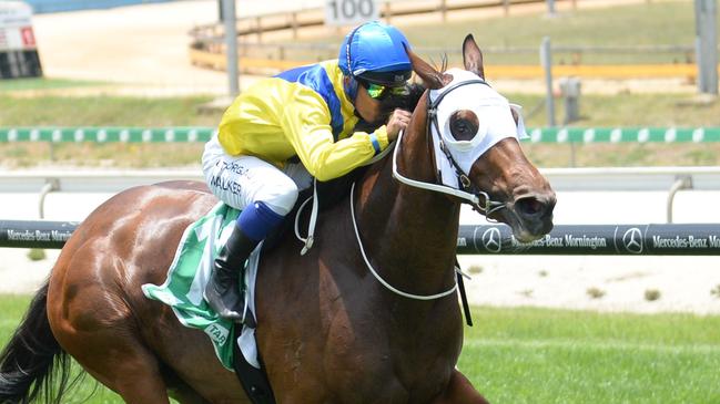 Safeeya finds an easier race at Eagle Farm. Picture: Racing Photos via Getty Images