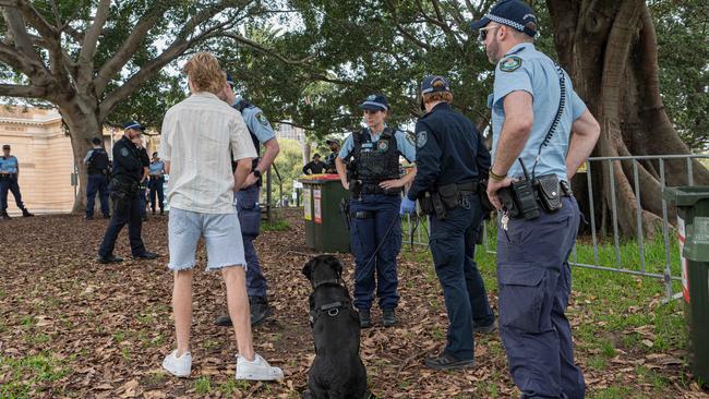 Drug detection dogs were out in force on Monday. Picture: NCA NewsWire / Flavio Brancaleone