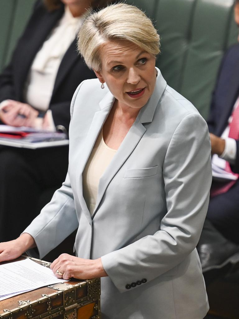 Environment Minister Tanya Plibersek. Picture: NCA NewsWire