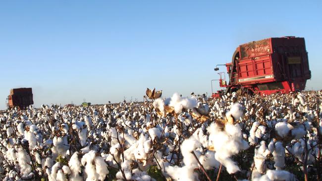 Merah North farmer Nigel Melbourne has purchased the 3888ha Gunedra Aggregation, located near Wee Waa NSW.