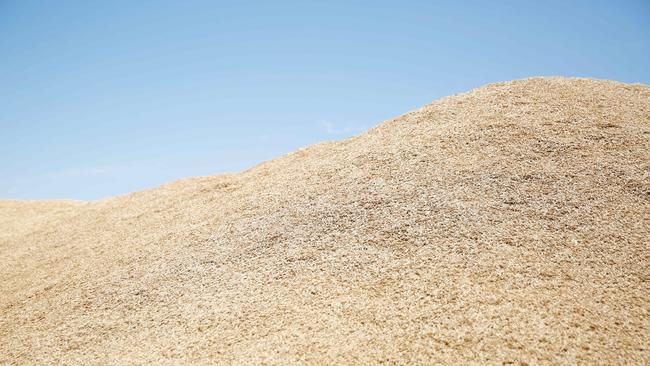 Wheat has rallied to be sitting only $23 a tonne below last year’s levels. Picture: Chloe Smith