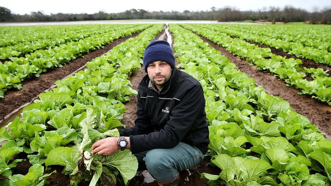 ‘Total wipe-out – the farm’s gone under completely,’ says Matt Vella in his drenched fields of Chinese cabbage at Camden southwest of Sydney. Picture: Jane Dempster