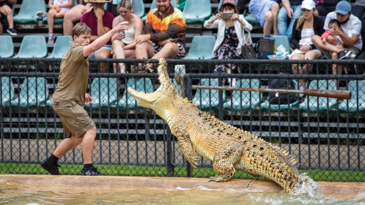 Robert Irwin and his family know a thing or two about taking educated risks, so perhaps it is no surprise that they have announced a new project that takes them into the untamed digital wilderness of non-fungible tokens (NFTs). Picture: Australia Zoo