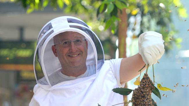 Mr Lloyd appeared on the front page of the Daily Telegraph in November last year for collecting a colony of bees that swarmed in Sydney. (AAP/Jeremy Piper).