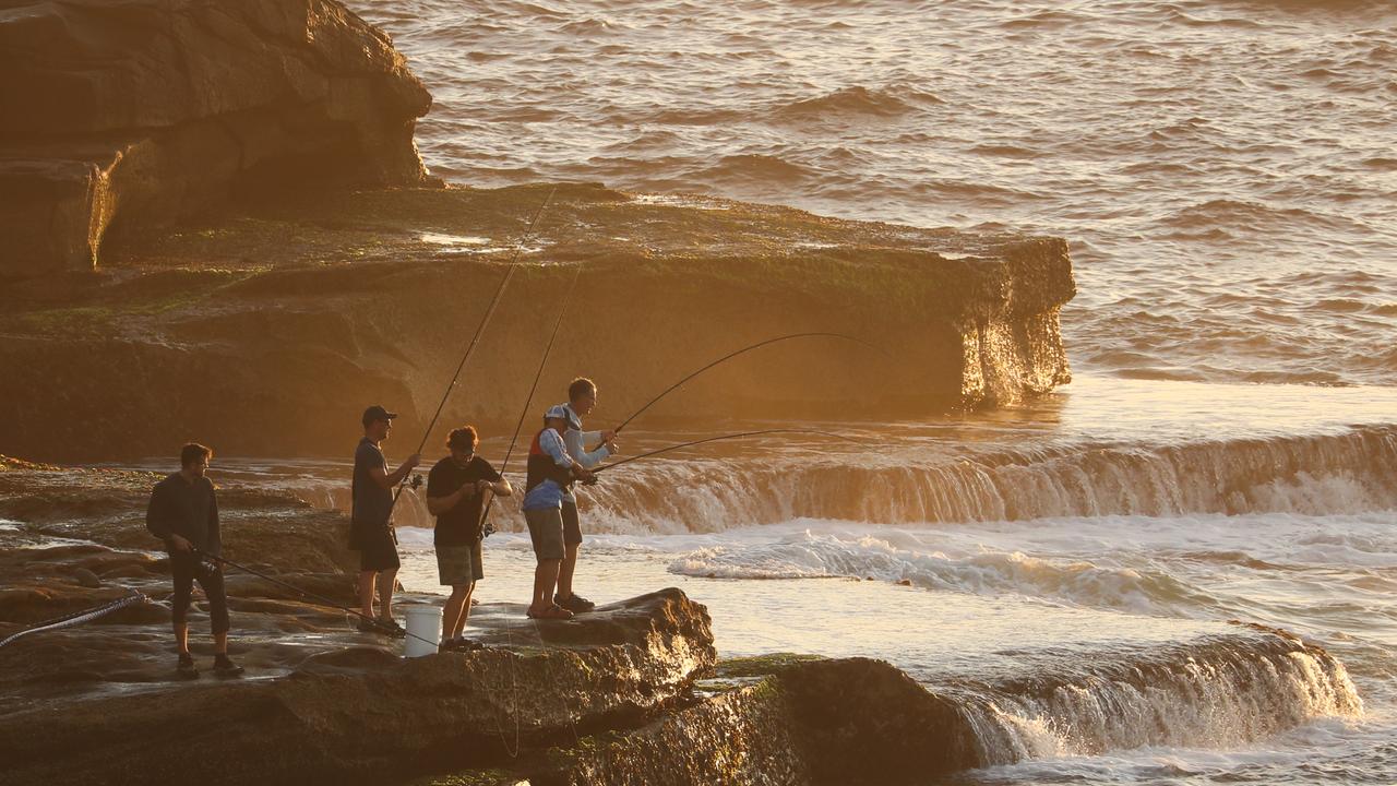 People watch as NSW fisheries and police along with life savers turn up early to search for remains of a fisherman at Little Bay after a shark attack. Picture John Grainger