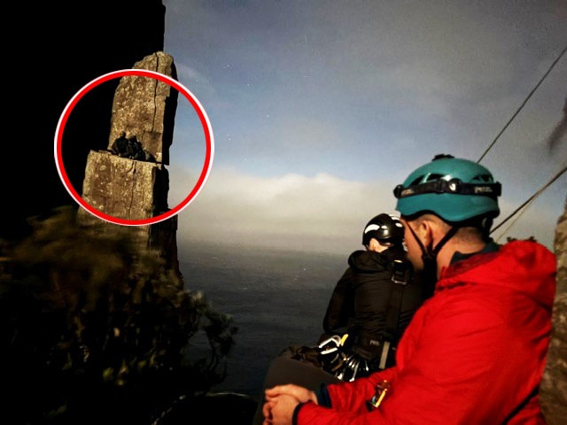 Two climbers rescued from the top of the Totem Pole at Cape Hauy on the Tasman Peninsula on Wednesday night. Picture: Tasmania Police