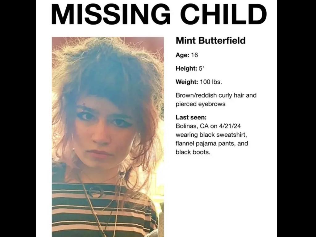 The 16-year-old child of former Slack CEO Stewart Butterfield went missing on Sunday night after running away from the family’s Marin County residence.