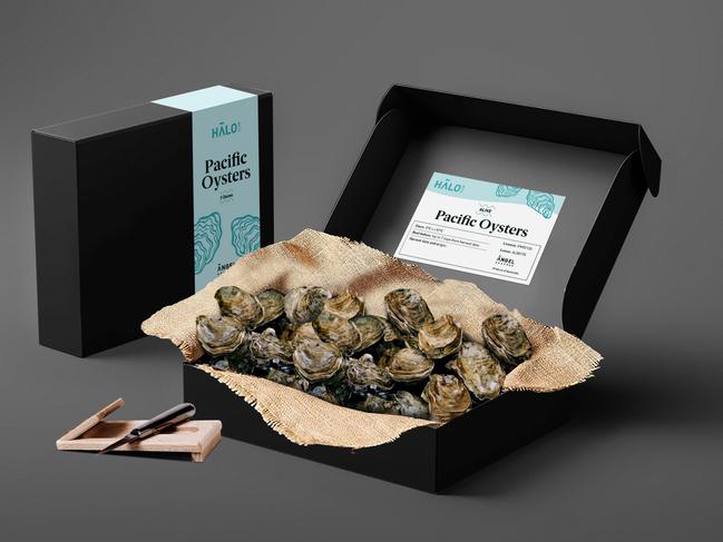 Supplied Editorial An oyster delivery from Angel Seafood's Halo Club.