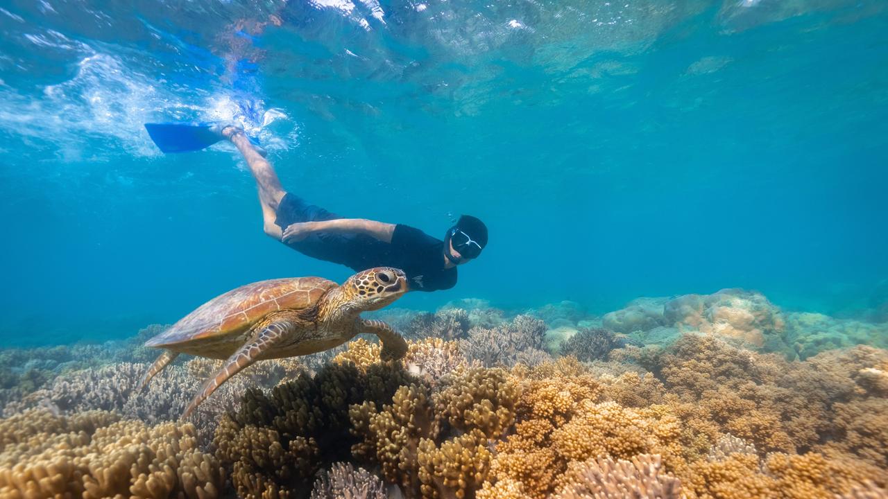 The Wonders of the Whitsundays campaign promotes attractions including island stays, snorkelling the Great Barrier Reef, soaking up the sunshine on Whitehaven Beach, sailing through 74 island wonders, and experiencing the vibrant coastal towns of Airlie Beach and Bowen. Picture: Supplied