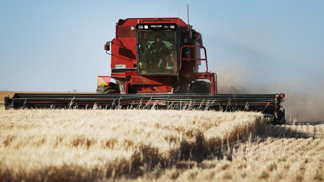 The imposition of tariffs on Australian barley could come as early as next week. Picture Rohan Kelly.