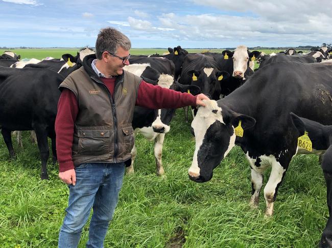 James Mann, Dairy Australia Board member and dairy farmer, seen here with his herd of cows on his farm in South Australia, near Mt. Gambier. DairySA