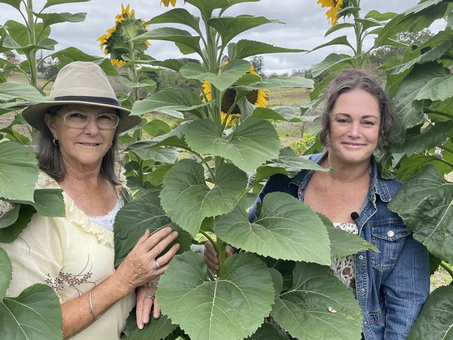 Bruce Hwy hobby farm flower picking a blossoming success