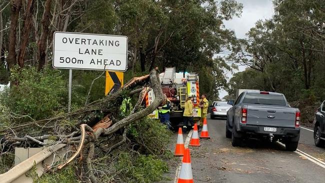 The Ingleside NSW Rural Fire Service volunteers work to remove a fallen tree from Mona Vale Rd at Ingleside this morning. Picture: NSW RFS (Ingleside)