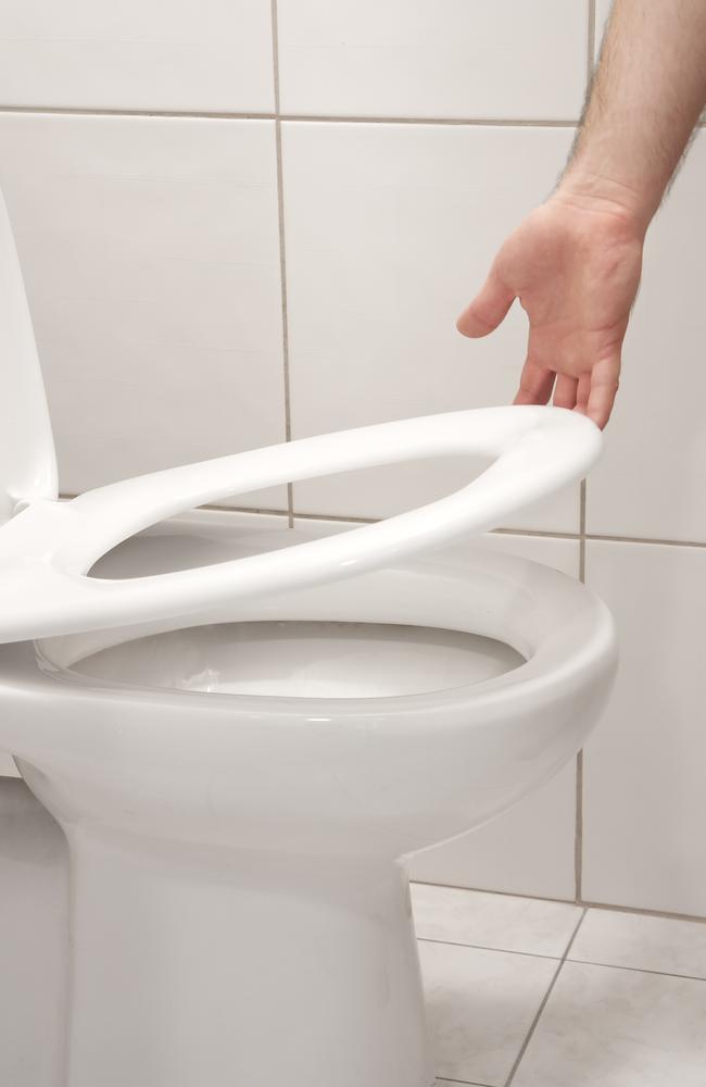 Go on, it’s much cleaner to touch a public toilet seat than a hotel remote!