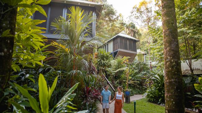 Daintree ecolodge, intrepid has just purchased this property. Picture: Supplied,