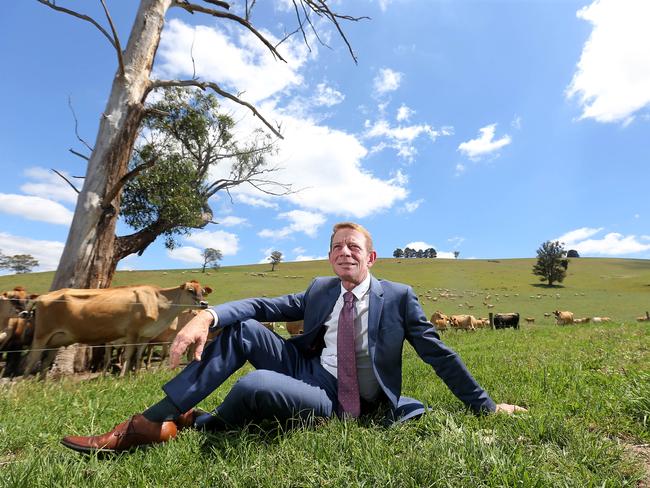 Milk leader: Paul Mumford, on his Won Wron farm on Monday, is now president of the United Dairyfarmers of Victoria, less than a year after taking on the vice-presidency. Picture: Chloe Smith