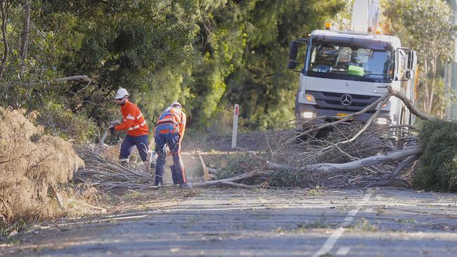 A TasNetworks crew gets to work clearing trees and power lines which fell across Sandfly Rd in high winds this afternoon. Picture: RICHARD JUPE