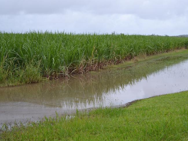 SOGGY SUGAR: The latest storm and flood has seen nearly all cane farmers affected in the Tweed, Richmond and Clarence. Photo Samantha Elley/Northern Star