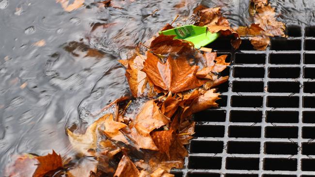 A rare scene in Sydney’s CBD on Thursday. Picture: John Grainger