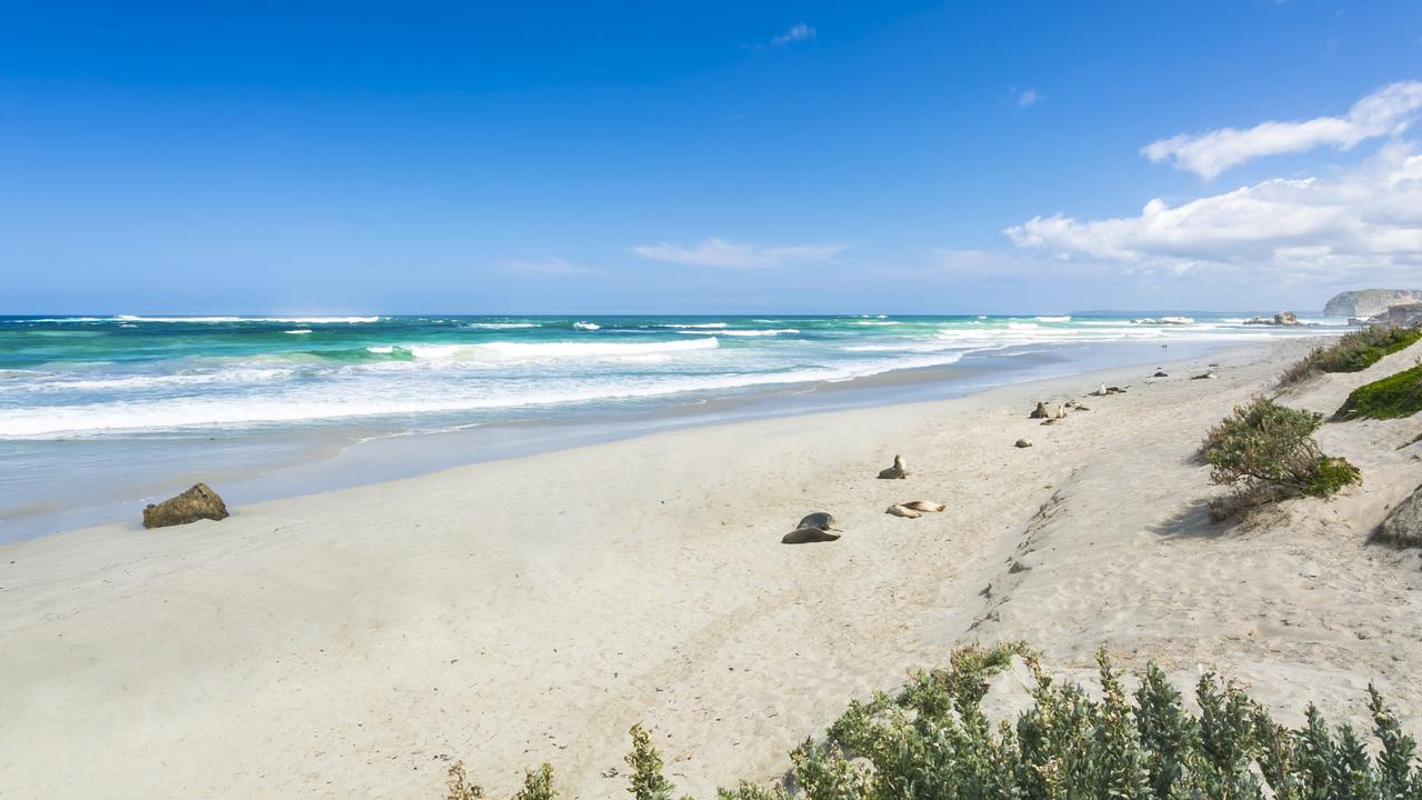 Here’s some of the best ways to enjoy Kangaroo Island. Picture: Gab Rivera/ Department of Environment and Water