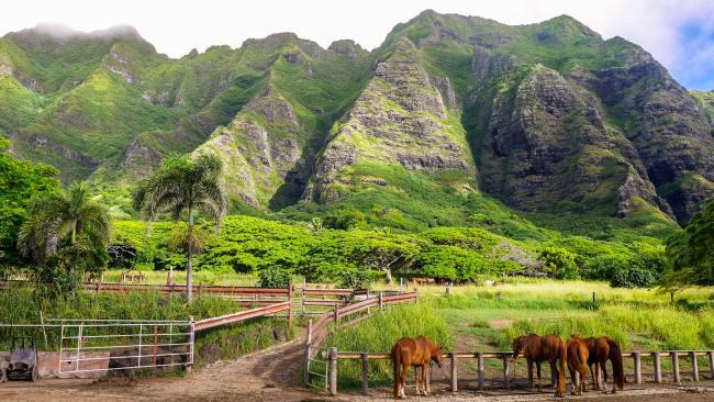 7/8
 Adventure through the big parks 
Oahu’s adventure parks offer days full of fun. They’re so popular, advanced reservations are a must. Kualoa Ranch is a jaw-dropping nature reserve on the North Shore. It’s a film location famous for scenes in Jurassic Park, 50 First Dates and Hawaii 5-0, to name a few. Book everything from a Hollywood movie sites tour to ATV excursions, zipline activities and horseback rides. There’s also a “secret beach” adventure. In West Oahu, Coral Adventure Park awaits discovery. This property is off the beaten path and features obstacle courses, adventure towers and aerial challenges, including rock climbing. They also have fantastic off-roading experiences. While you’re on this side of the island, stop by Wet ’n’ Wild, Hawaii’s only waterpark.