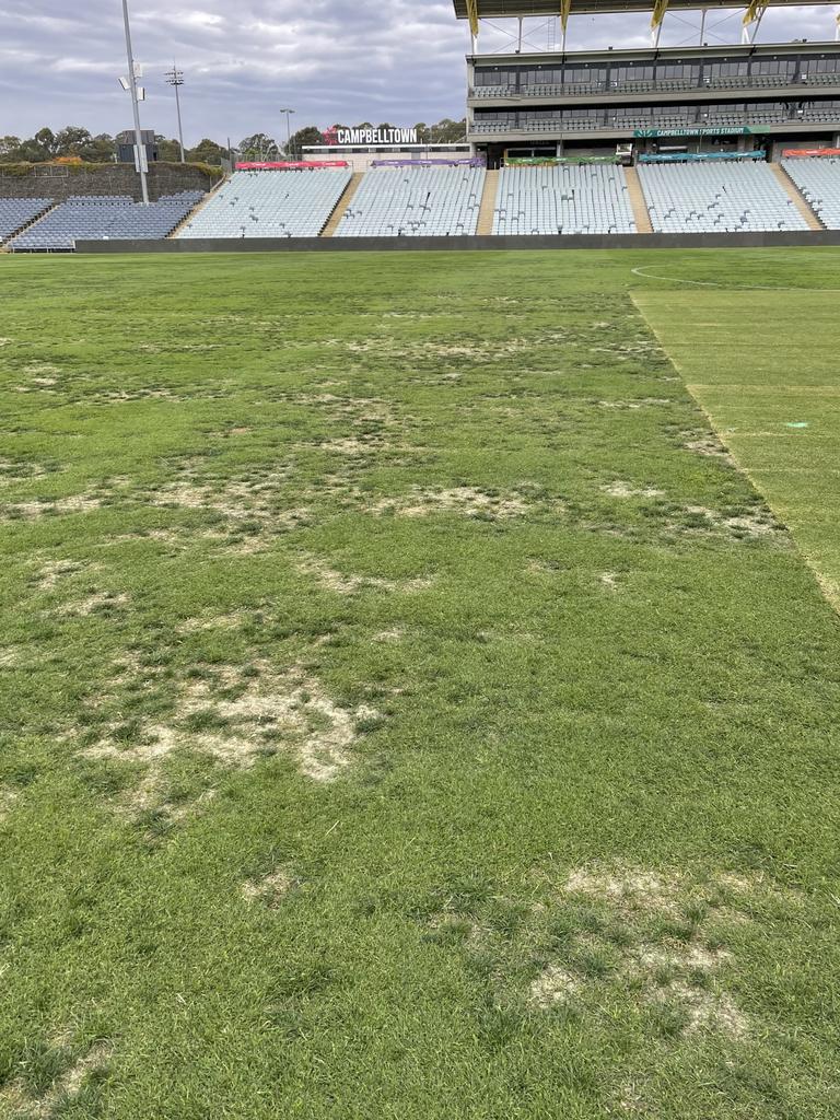 Leaked pictures of the Campbelltown Stadium surface.