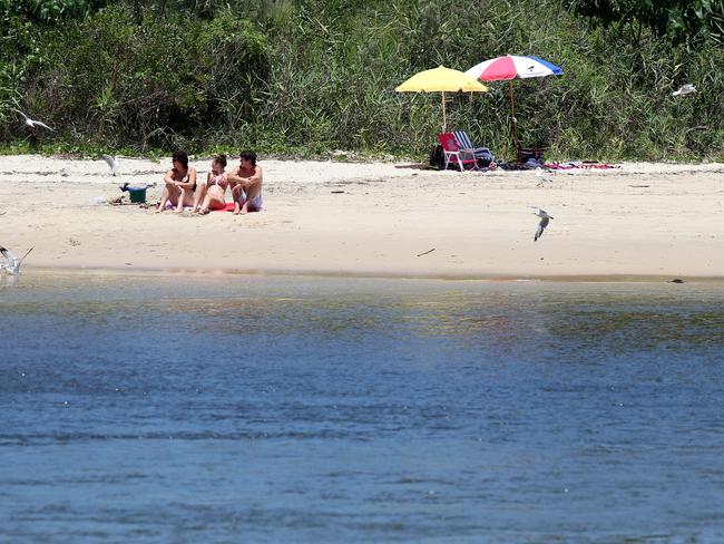 21/1/11 Local brother Jayden Mandall 14, Sam Mandall 13, and Daniel Mandall 12 in Cudgen Creek Kingscliffe at the site where a girl was bitten by something, possibly a fish or a shark. Pics Adam Head