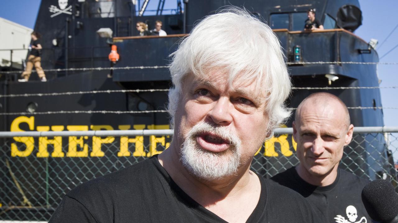 Sea Shepherd Activist Paul Watson Resigns In Anti-whaling Row | The ...