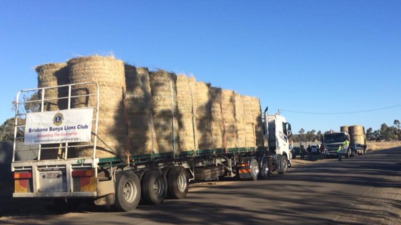Sheep and cattle have run out of grass to eat in drought areas and farmers are spending a lot of money buying hay or relying on donations, such as this truckload of hay from Brisbane Bunya Lions Club. Picture: supplied