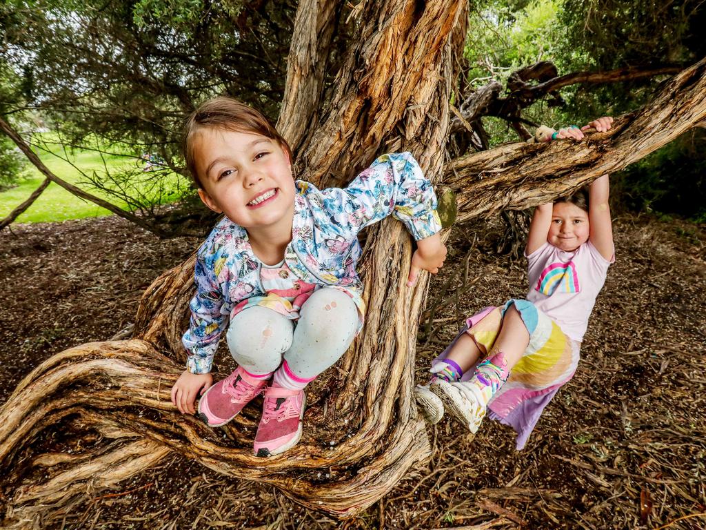 Research from Deakin Uni about the things kids, young people and oldies want from Victorian and Melbourne parks.
Kids - flying foxes and trees to climb
Teens - basketball courts and places to hang out
Oldies - places to walk and birdwatching places.
Yumi and Coco playing up a tree. Picture: Tim Carrafa