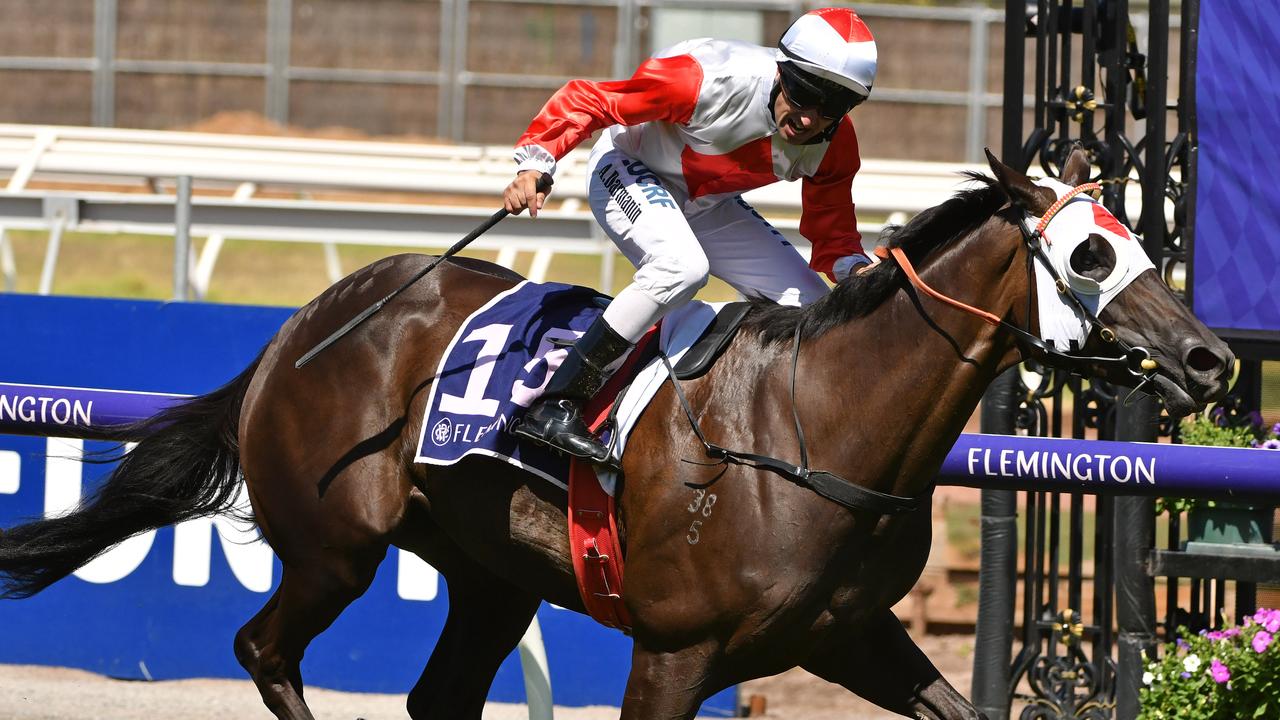 Mystic Journey could have three runs before the Cox Plate. Picture: AAP