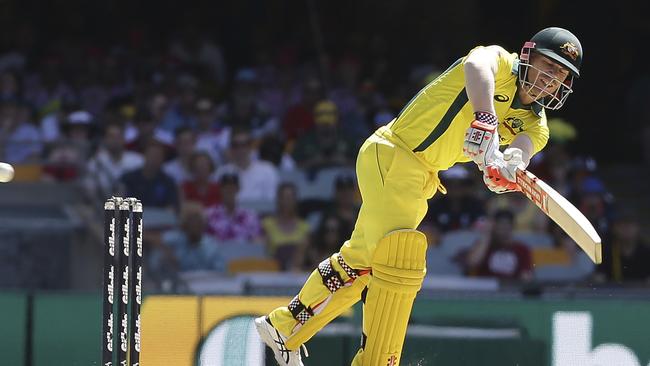 David Warner has long been a star in the short form of the game. Pic: AP