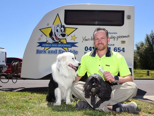 Clients rave about Ryan Hogan and Bark &amp; Sparkle Dog Groomers. Ryan is pictured with Hero the border collie and Jerico the cavoodle. Picture: Josie Hayden