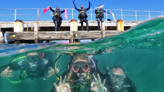 The Guinness World Record attempt at longest scuba diver chain along the pier at Rye. Picture: Alex Coppel