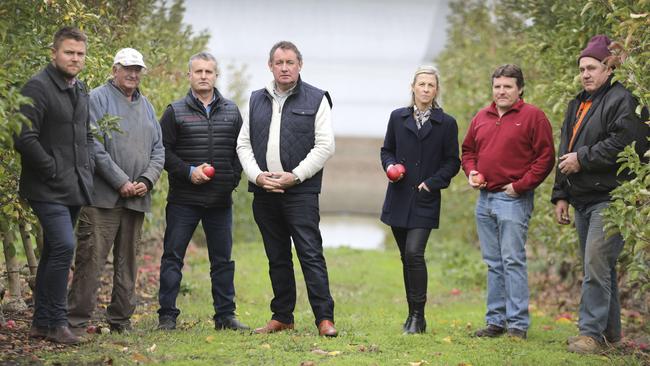 Farmers around the proposed Bird in Hand gold mine are demanding it not go ahead, fearing the impact on the groundwater, environment and tourism Pictured at a Woodside orchard is Jared Stringer, Don Parker, Mike Mudge, Glen Kelly, Nikki Roberts, Jim Franklin-McEvoy, and Malcolm Parker. Picture: Dean Martin