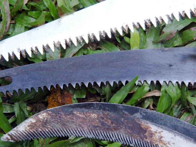 .......YOUR HOME.......PIC AARON CURRAN.......23 AUGUST 2004.......Gardening pruning feature at the Botanic Gardens.Pictured is (top to bottom) the blades of a pruning saw,pole saw and heliconia knife (sickle).