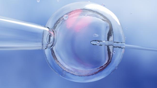 The woman said realistically her only chance to have the baby is using the embryos created with her ex. Picture: iStock