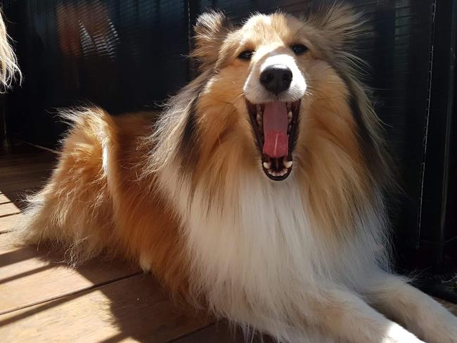 Chilling out at daycare.