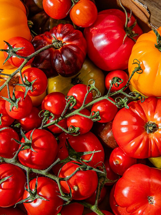 Best of the season. Tomatoes are now at their best. Picture: Nikki To