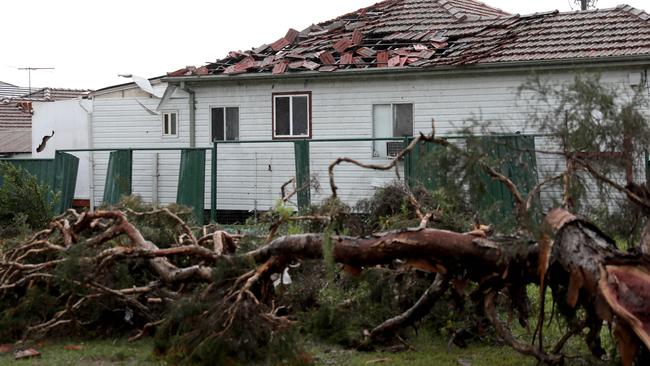 Storm damaged houses in Chester Hill. Picture by Damian Shaw