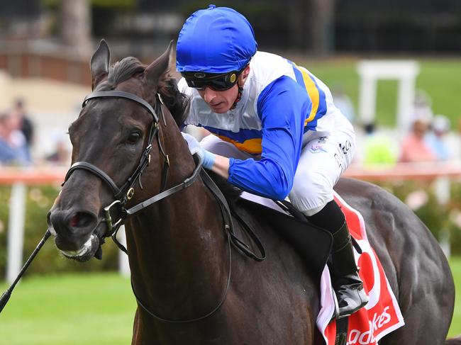 Jigsaw ridden by Daniel Moor wins the MA Services Group Australia Stakes  at Moonee Valley Racecourse on January 28, 2023 in Moonee Ponds, Australia. (Photo by Pat Scala/Racing Photos via Getty Images)