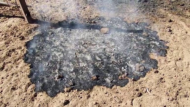 Burning ground at Mount Denison Station