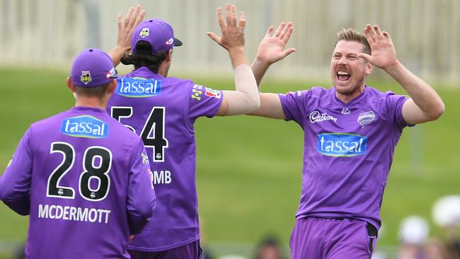 James Faulkner Hurricanes celebrates the wicket of Shaun Marsh of the Renegades during the Big Bash League match between the Hobart Hurricanes and Melbourne Renegades at Blundstone Arena, on December 19, 2020, in Hobart, Australia. (Photo by Steve Bell/Getty Images)