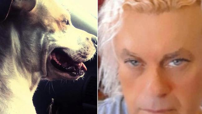 One of the dogs responsible for mauling a Maryborough woman to death pictured in the front seat of a car. (Right) Owner George Cooksley who is charged in relation to alleged animal ownership breaches.