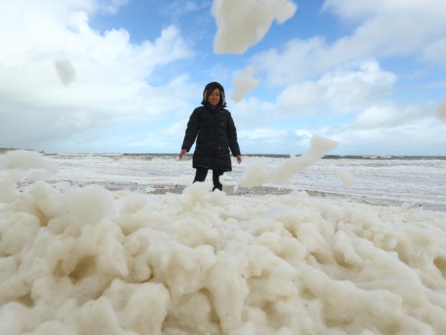 In beach foam at Port Willunga. Picture: Tait Schmaal.
