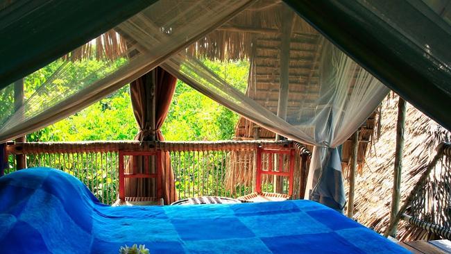 Visitors stay in tree houses at Chole Minji. Image courtesy of Chole Minji.