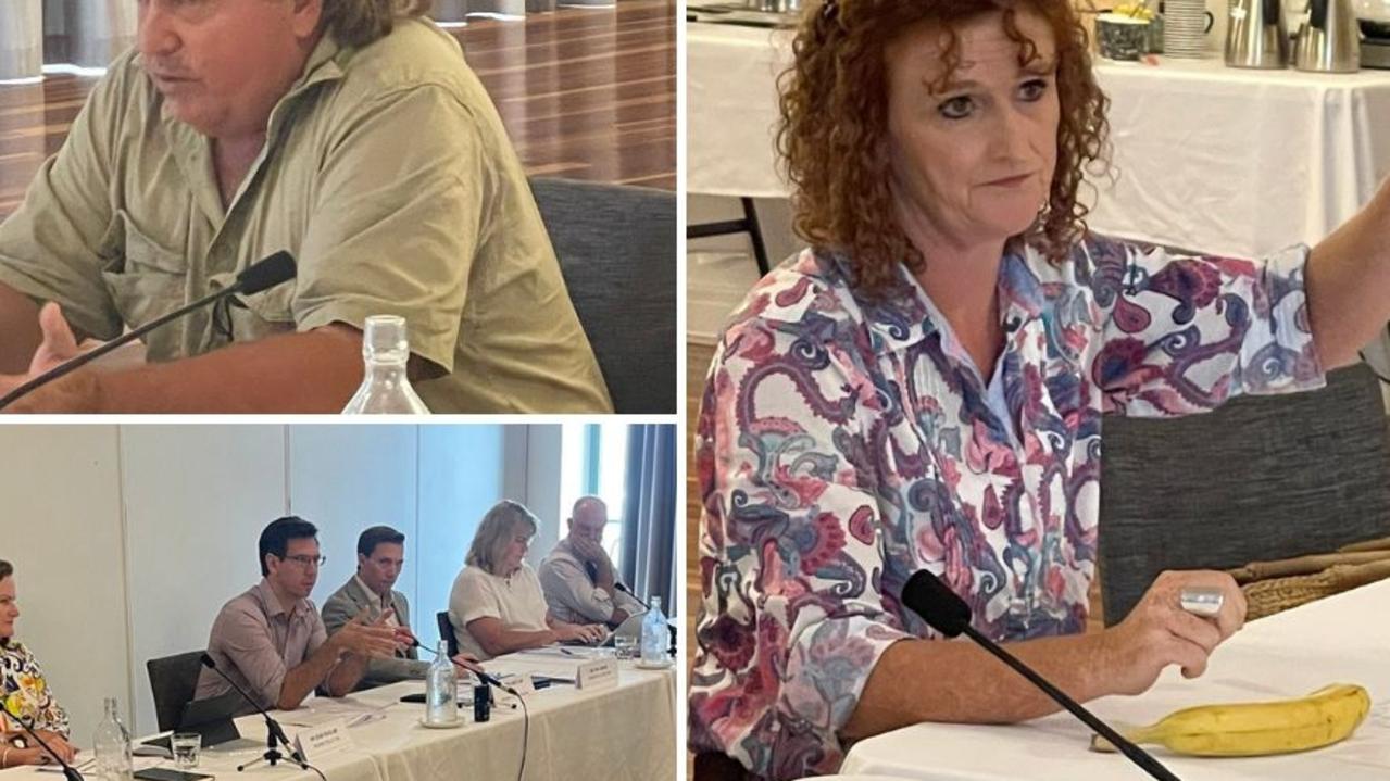 Farmers told the parliamentary committee their mental health was suffering and up to 40 per cent of their crop was being wasted due to the ‘stand over tactics’ used by the Big 4 supermarkets.