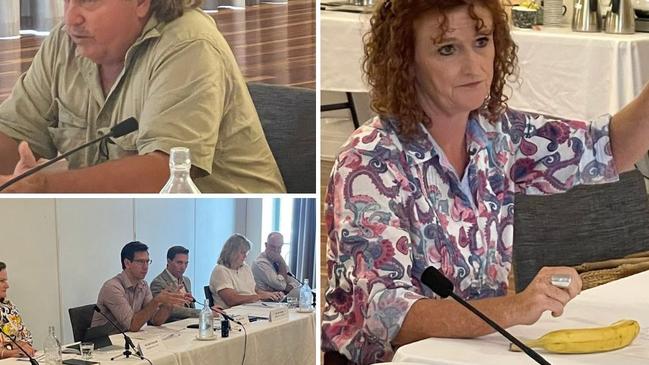 Farmers told the parliamentary committee their mental health was suffering and up to 40 per cent of their crop was being wasted due to the ‘stand over tactics’ used by the Big 4 supermarkets.