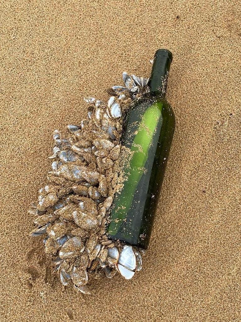 The bottle was thrown into the Atlantic in 2008.