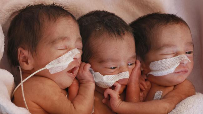 Identical triplets Niara, Aurora and Moana born to Keely Walsh and Mathew Alves on January 2 at 32 weeks. Picture: Nikki Davis-Jones